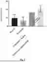 Fig. 02 - METHOD FOR PRODUCING A STABILIZED DIAMINE OXIDASE LYOPHILISATE AND PHARMACEUTICAL DOSAGE FORM