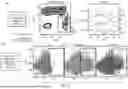 Fig. 06 - Method for Engineering Innate-Like Lymphocytes
