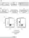 Fig. 07 - Method for Engineering Innate-Like Lymphocytes