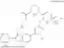 Fig. 49 - RAS INHIBITORS