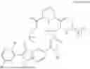 Fig. 892 - RAS INHIBITORS