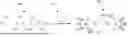 Fig. 01 - RAPIDLY CROSSLINKABLE HYDROGELS WITH ENHANCED RADIOPACITY FOR MEDICAL APPLICATIONS