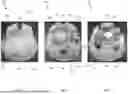Fig. 06 - ILLUMINATED OBJECT SYSTEMS AND METHODS