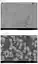 Fig. 06 - COBALT FERRITE PARTICLE PRODUCTION METHOD AND COBALT FERRITE PARTICLES PRODUCED THEREBY