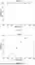 Fig. 07 - SYNTHESIS OF DIGLYCOLAMIDES