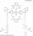 Fig. 31 - PHOTOSENSITIVE COMPOSITION REACTIVE DYE AND PHOTO-CURABLE COMPOSITION WITH REACTIVE DYE