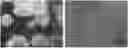 Fig. 01 - METHOD FOR REPRODUCIBLE DIFFERENTIATION OF CLINICAL-GRADE RETINAL PIGMENT EPITHELIUM CELLS