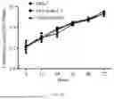 Fig. 06 - Alpha-herpesvirus Insensitive Monoclonal Cell Strain, and Preparation Method Therefor and Use Thereof