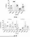 Fig. 26 - Compositions and Methods for Kallikrein (KLKB1) Gene Editing
