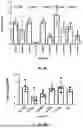 Fig. 27 - Compositions and Methods for Kallikrein (KLKB1) Gene Editing
