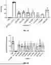 Fig. 28 - Compositions and Methods for Kallikrein (KLKB1) Gene Editing