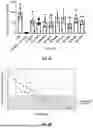 Fig. 29 - Compositions and Methods for Kallikrein (KLKB1) Gene Editing