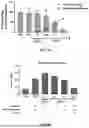 Fig. 31 - Compositions and Methods for Kallikrein (KLKB1) Gene Editing