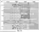 Fig. 09 - Method for Detecting Microsatellite Instability in Cancer Patient