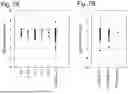 Fig. 09 - KIT, DEVICE, AND METHOD FOR DETECTING BLADDER CANCER