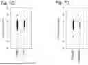 Fig. 10 - KIT, DEVICE, AND METHOD FOR DETECTING BLADDER CANCER