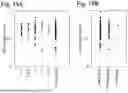 Fig. 20 - KIT, DEVICE, AND METHOD FOR DETECTING BLADDER CANCER