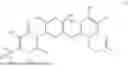 Fig. 02 - TRANSGENIC SOYBEAN EVENT GM_CSM63717 AND COMPOSITIONS AND METHODS FOR DETECTION AND USES THEREOF