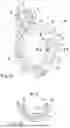 Fig. 02 - PROFILED CLAMP