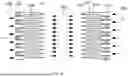 Fig. 04 - PLATE HEAT EXCHANGER