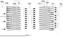 Fig. 05 - PLATE HEAT EXCHANGER