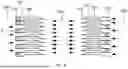 Fig. 07 - PLATE HEAT EXCHANGER