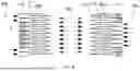 Fig. 10 - PLATE HEAT EXCHANGER