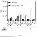 Fig. 02 - METHOD FOR DETECTING THE BIOLOGICAL ACTIVITY OF RECOMBINANT HUMAN GROWTH HORMONE MEDICINE