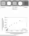 Fig. 32 - MAGNETIC PARTICLE-BASED IMMUNOASSAY AND METHODS OF USING THE SAME