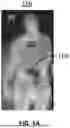 Fig. 02 - MILLIMETER WAVE DETECTOR ARRANGEMENT