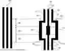 Fig. 01 - Mask Stitching for Extreme Ultraviolet Lithography