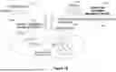 Fig. 15 - Methods and Systems for Identifying Disease-Specific Genetic Variants