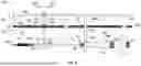 Fig. 06 - CAPSULE LOADING ASSIST APPARATUSES AND ASSOCIATED METHODS