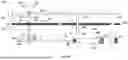 Fig. 07 - CAPSULE LOADING ASSIST APPARATUSES AND ASSOCIATED METHODS