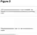 Fig. 03 - Operating system and operating method for virtual space or online meeting systems