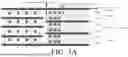 Fig. 04 - DECODERS, DECODING METHODS, MEMORY CONTROLLERS AND MEMORY SYSTEMS