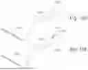 Fig. 14 - METHOD AND SYSTEM FOR MEASURING PERIODONTAL POCKET DEPTH