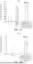 Fig. 02 - BIFIDOBACTERIUM BREVE, COMPOSITION COMPRISING BIFIDOBACTERIUM BREVE OR CULTURE THEREOF, AND USE OF BIFIDOBACTERIUM BREVE OR CULTURE THEREOF