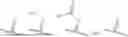 Fig. 486 - ASGPR-BINDING COMPOUNDS FOR THE DEGRADATION OF EXTRACELLULAR PROTEINS