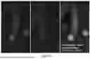 Fig. 09 - DEVICES, SYSTEMS, AND METHODS FOR MEASURING SPIN OF A GOLF BALL