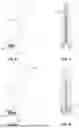 Fig. 05 - PROTECTIVE CAP ASSEMBLY FOR A NEEDLE