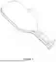 Fig. 02 - PICKLEBALL PADDLE WITH FOAM CORE VORTEX-SHAPED LINEAR STRUCTURE AND PREPARATION METHOD THEREOF