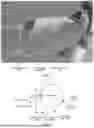 Fig. 04 - COLLISION EVENT DETERMINATION