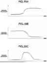 Fig. 11 - MANUFACTURING METHOD OF LIQUID EJECTION HEAD AND LIQUID EJECTION HEAD