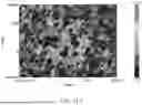 Fig. 15 - COMPOSITE POLYMERIC MATERIALS, AND PRODUCTS AND METHODS OF PREPARING THE SAME