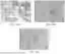Fig. 48 - COMPOSITE POLYMERIC MATERIALS, AND PRODUCTS AND METHODS OF PREPARING THE SAME