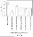 Fig. 06 - POLYPEPTIDES HAVING BETA-GLUCANASE ACTIVITY AND POLYNUCLEOTIDES ENCODING SAME