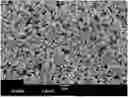 Fig. 01 - COATED BATTERY SEPARATOR COMPRISING POROUS POLYMERIC COATING, AND BATTERY COMPRISING THE SAME