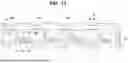 Fig. 12 - LIGHT EMITTING DEVICE AND LIGHT EMITTING DISPLAY DEVICE