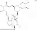 Fig. 09 - METHODS OF USING AVERMECTIN COMPOSITIONS FOR THE TREATMENT OF PAIN AND DOSING REGIMENS